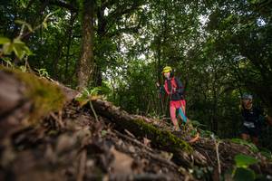 BIB: 353
                            <button type="button" onclick="openModal(16007825)" class="btn btn-primary btn-sm float-right btn-popup" data-toggle="modal" data-target=".modal-high-quality">
                        <i class="fas fa-shopping-cart"></i> Add to Cart
                    </button>
                                            <button type="button" onclick="isThisMe(16007825, true)" class="btn btn-success btn-sm float-right btn-popup btn-isme hidden" data-toggle="tooltip" data-placement="bottom" title="นี่คือรูปของคุณใช่ไหม คลิกที่นี่เพื่อเอาเข้าอัลบั้ม">
                        <i class="fas fa-plus"></i> Add to album
                    </button>
                    <button type="button" onclick="isThisMe(16007825, false)" class="btn btn-warning btn-sm float-right btn-popup btn-isnotme hidden">
                        <i class="fas fa-ban"></i> Remove from album
                    </button>